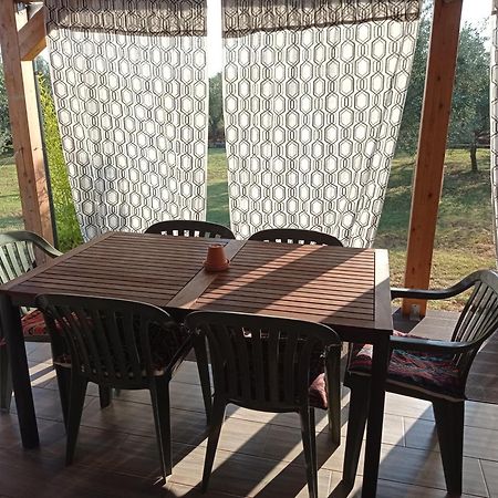 פאז'אנה Nature Home Eco-Friendly Pet-Friendly מראה חיצוני תמונה