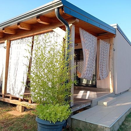 פאז'אנה Nature Home Eco-Friendly Pet-Friendly מראה חיצוני תמונה
