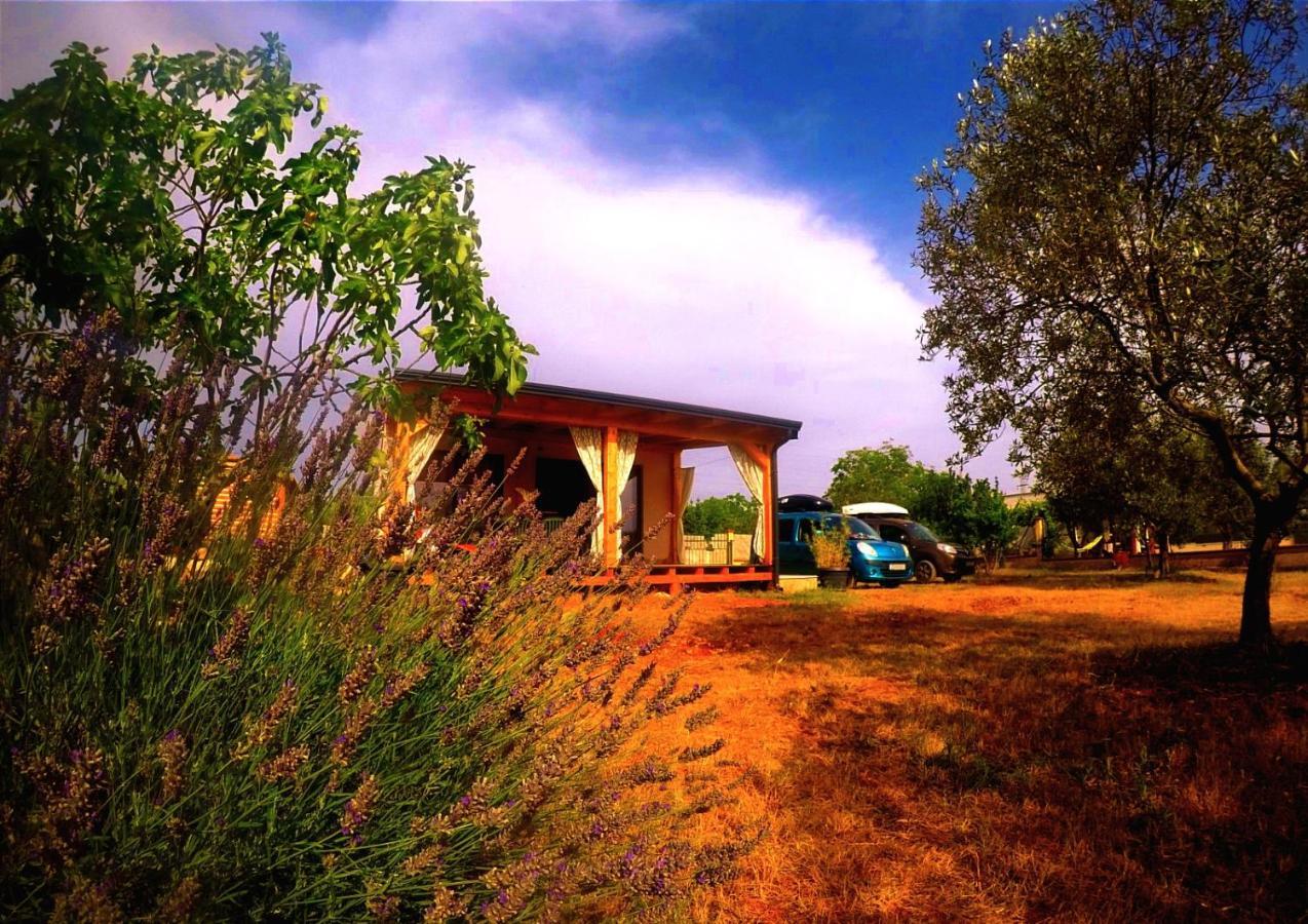 פאז'אנה Nature Home Eco-Friendly Pet-Friendly מראה חיצוני תמונה