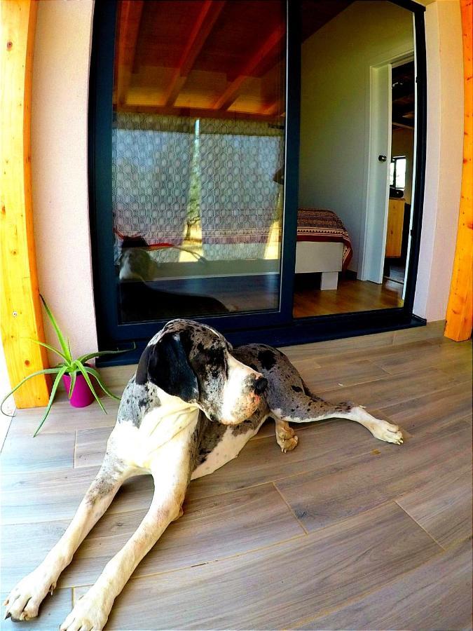 פאז'אנה Nature Home Eco-Friendly Pet-Friendly מראה חיצוני תמונה